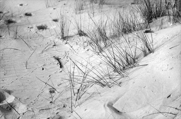 dunes